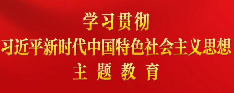 學習貫徹習近平新時代中國特色社會主義思想主題教育